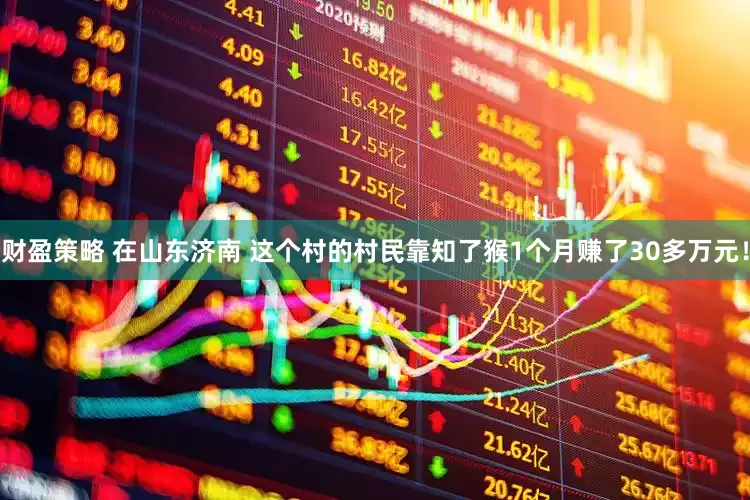 财盈策略 在山东济南 这个村的村民靠知了猴1个月赚了30多万元！